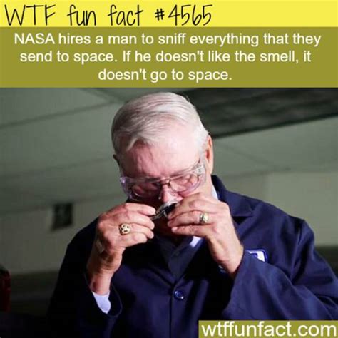 wtf fun facts|weirdest facts that are true.